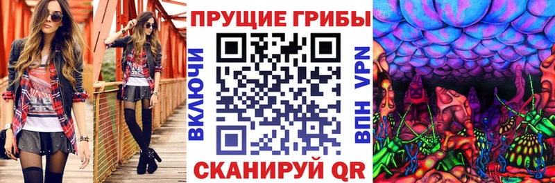 купить наркотики сайты  Дятьково  Псилоцибиновые грибы мухоморы 