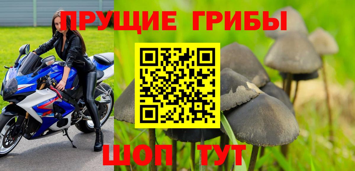 Галлюциногенные грибы Magic Shrooms  Галлюциногенные грибы мухоморы  Вход с VPN  Дятьково 