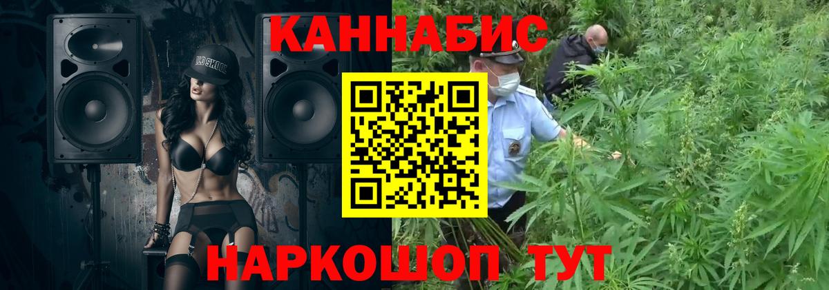Каннабис White Widow Дятьково